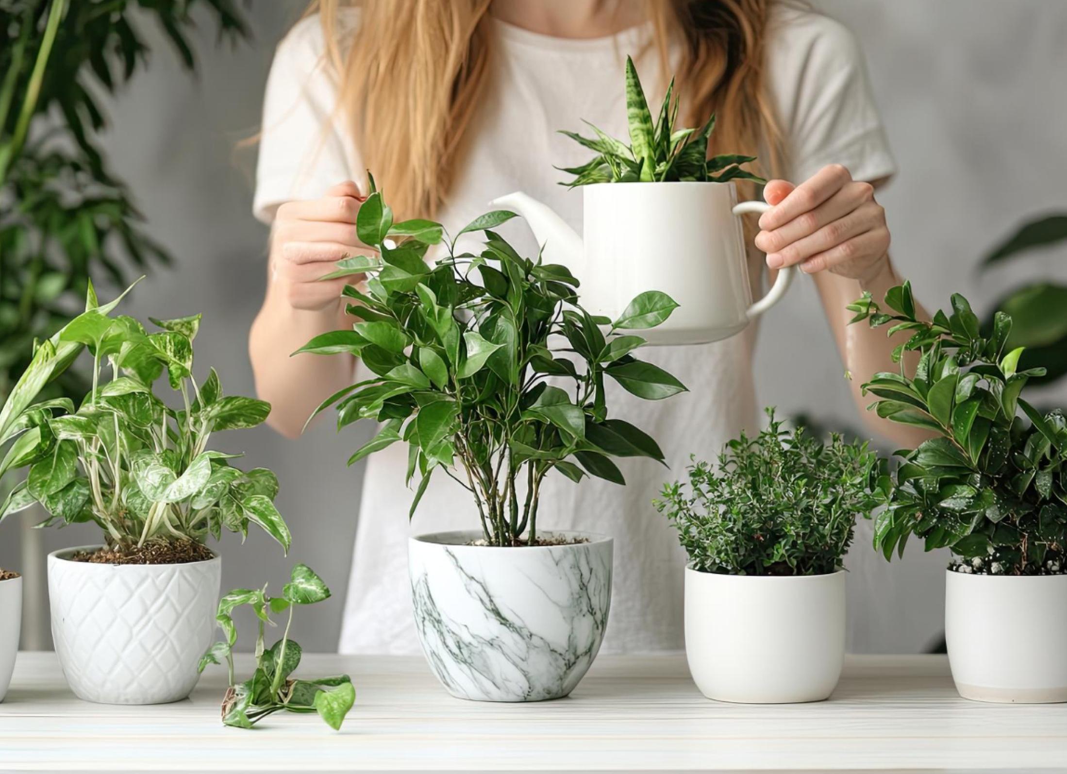 7 названий растений, которые произносят неправильно