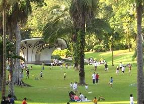 Пикник без сюрпризов: дисперсия и стандартное отклонение на страже комфорта