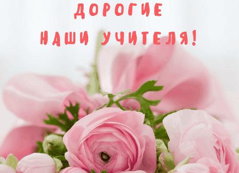 Дорогие учителя!